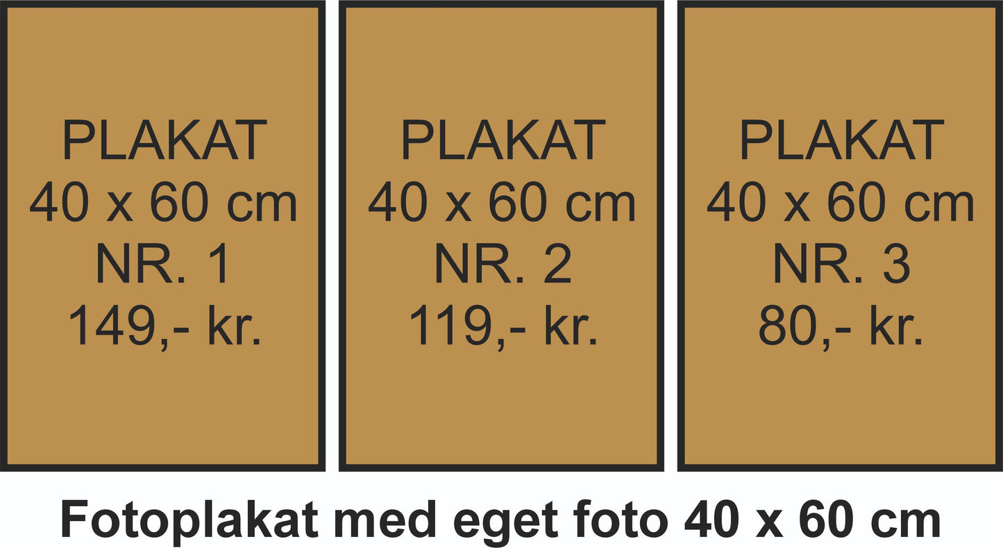 Plakat | Mange muligheder