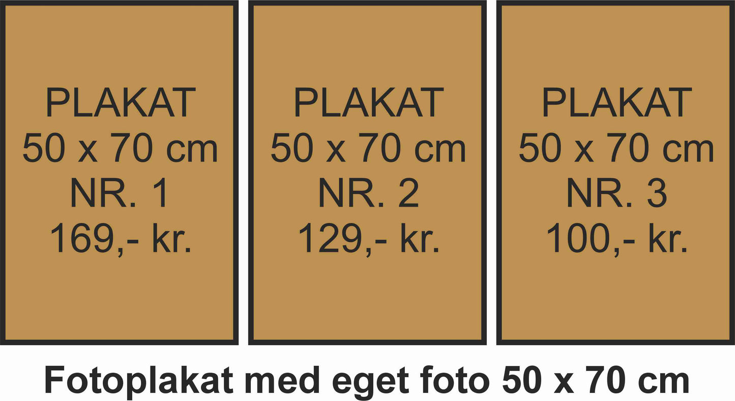 Plakat | Mange muligheder